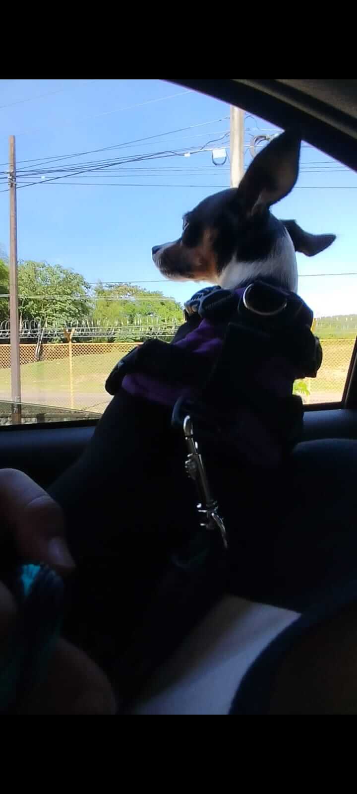 Tu MAXcota Viajera